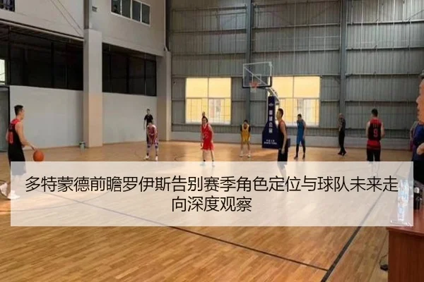 多特蒙德前瞻罗伊斯告别赛季角色定位与球队未来走向深度观察